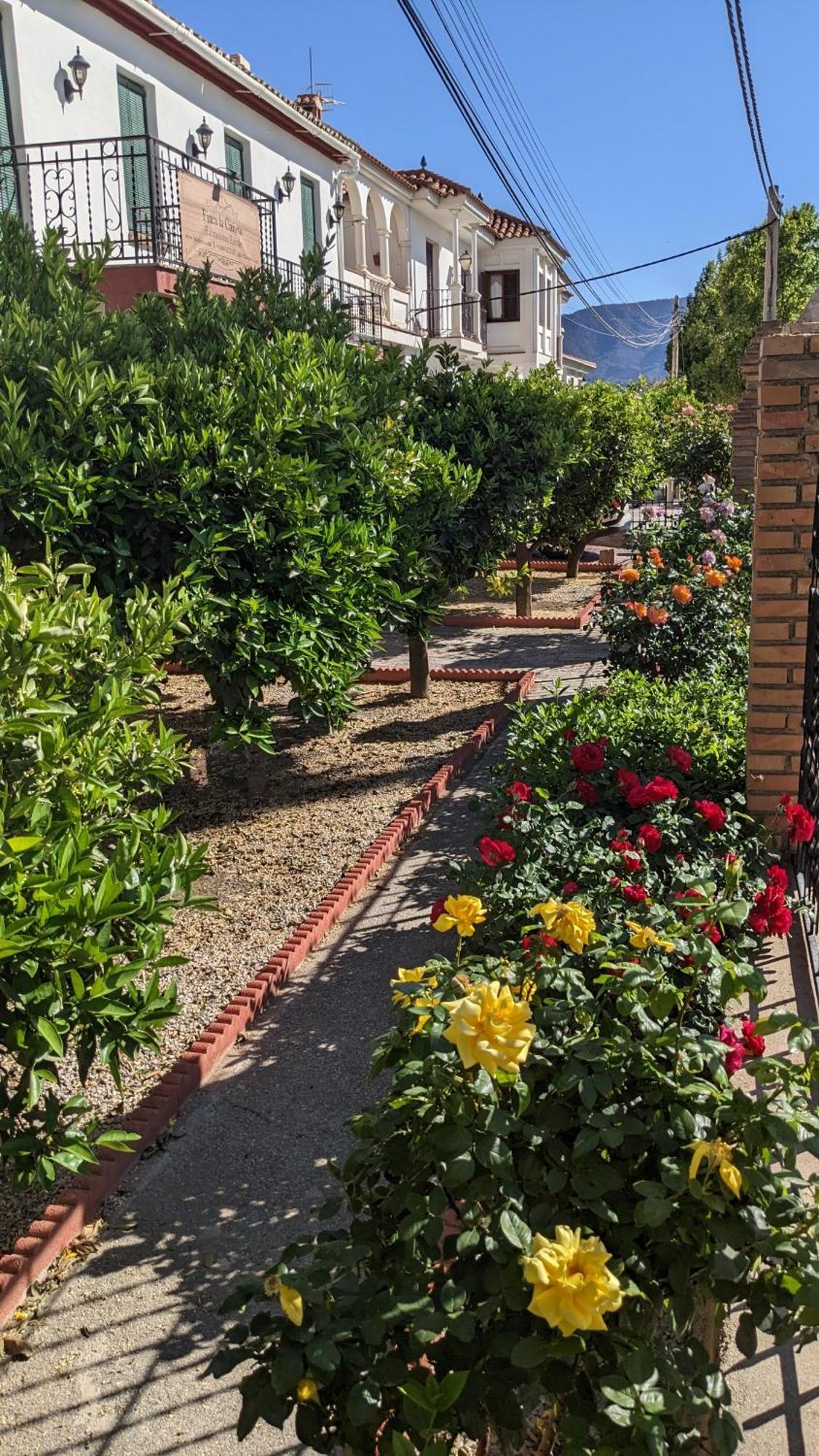 La Canota 2-Floors King Rooms Adults Only Talara Exterior foto