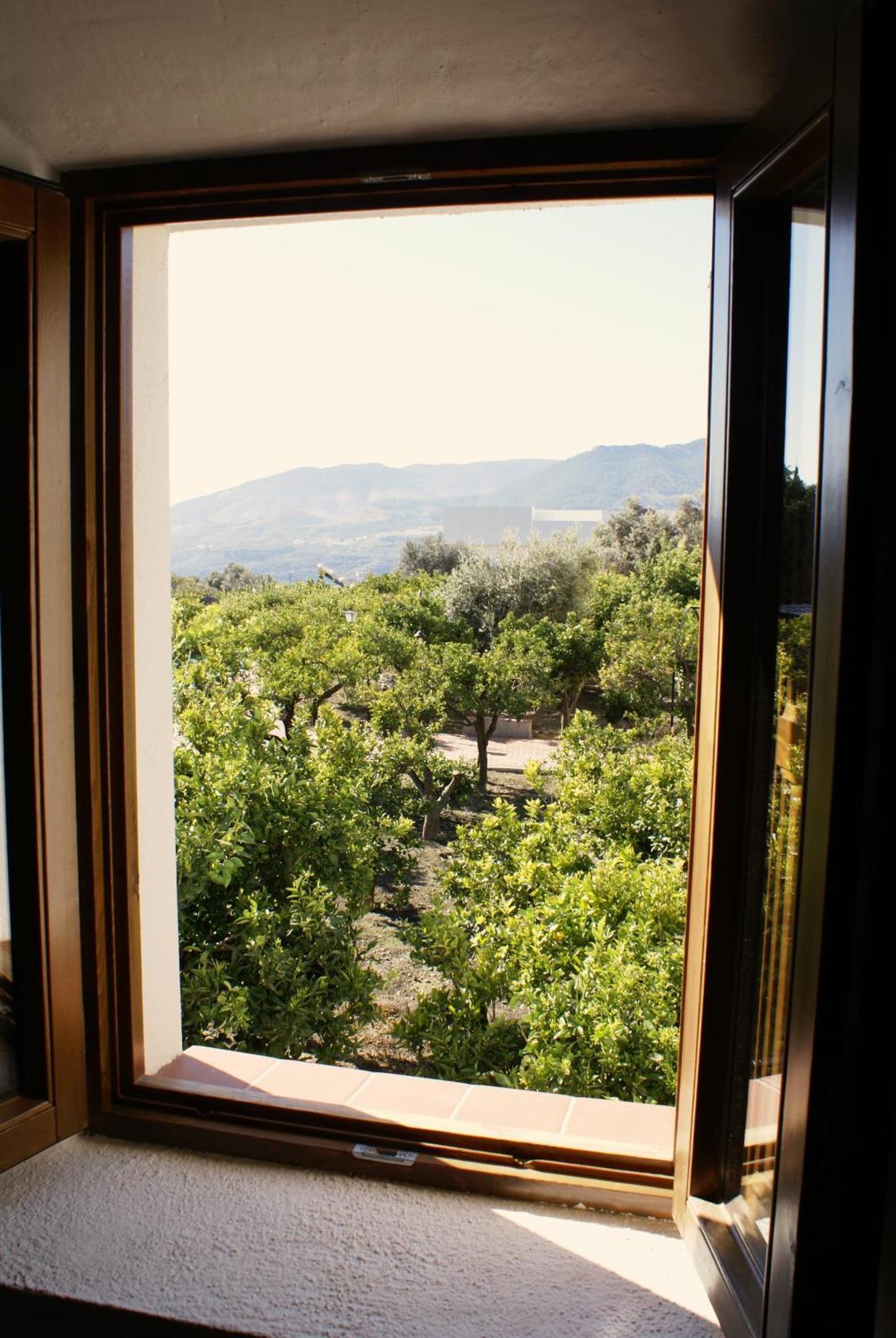La Canota 2-Floors King Rooms Adults Only Talara Quarto foto